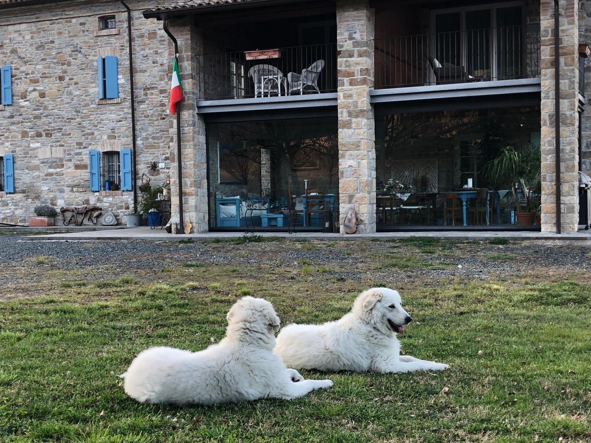 La Locanda Nel Vento Calestano Zewnętrze zdjęcie